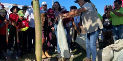 Se plantaron 5 mil 500 árboles de manera simultánea en los 11 municipios de Quintana Roo