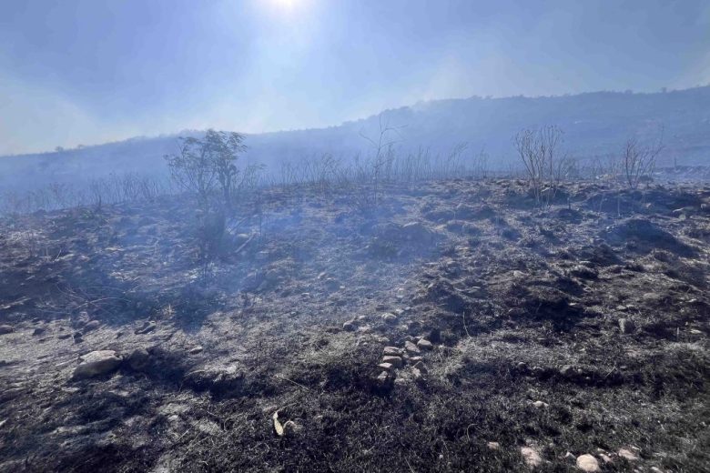 Incendios forestales