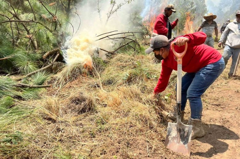 Incendios forestales