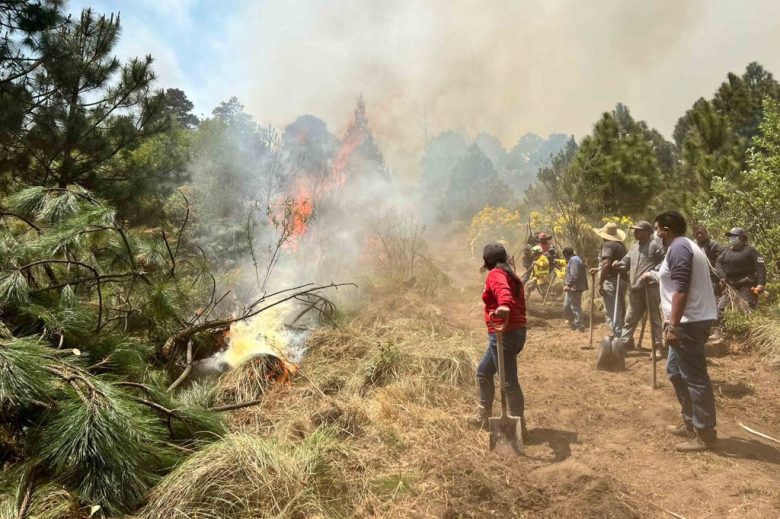 Incendios forestales