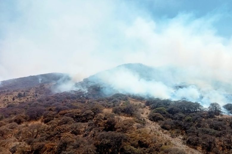 Incendios forestales