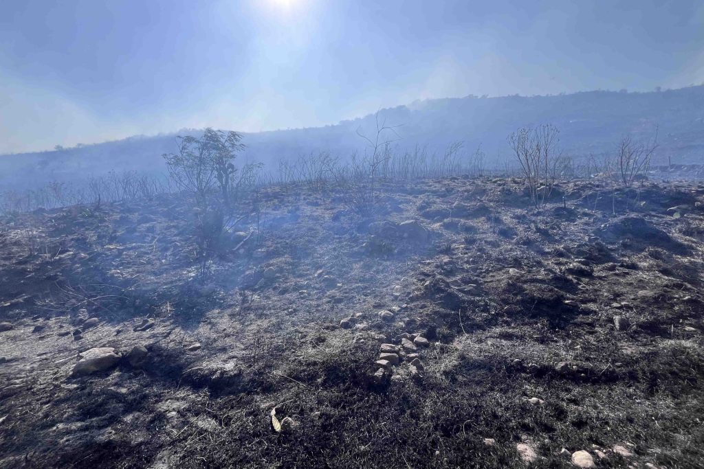 Incendios forestales