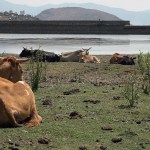 De acuerdo con cifras de 2021 de un estudio del Inegi, entre 20 y 21 millones de mexicanos no tienen acceso diario al agua potable