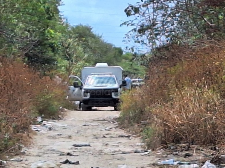 Autoridades en un camino de la Región 214 de Cancún, donde se hizo un macabro hallazgo (Foto de Meganews)