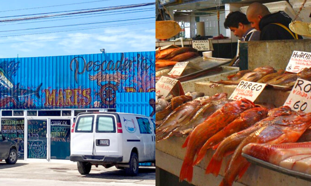 cartel-de-sinaloa-control-venta-de-mariscos-gobierno-de-amlo