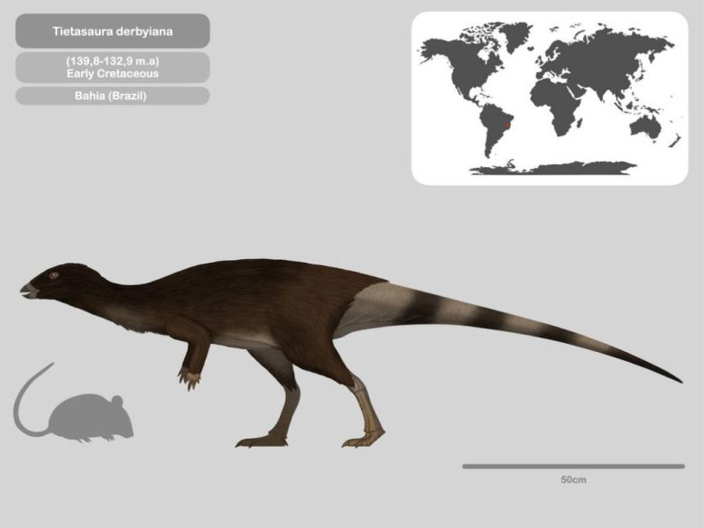 dinosaurio Tietasaura derbyiana