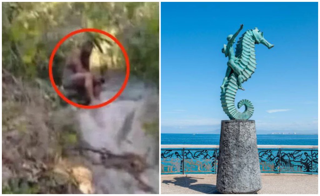 "May", es el estadounidense que estuvo perdido cuatro años en lo que pensó que era la selva pero en realidad era Puerto Vallarta