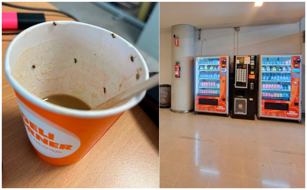 Veinteañera termina en terapia intensiva por 36 horas después de beber un café contaminado por insectos de máquina expendedora del aeropuerto