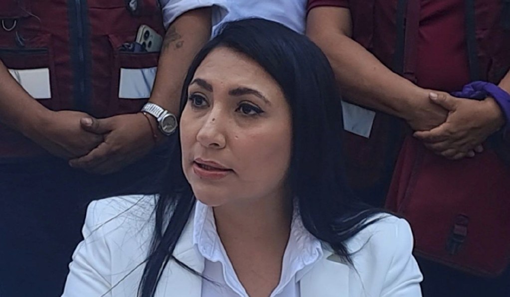 Gisela Gaytán, candidata de Morena a la alcaldía de Celaya, Guanajuato, es solo una de las más recientes víctimas de la violencia electoral