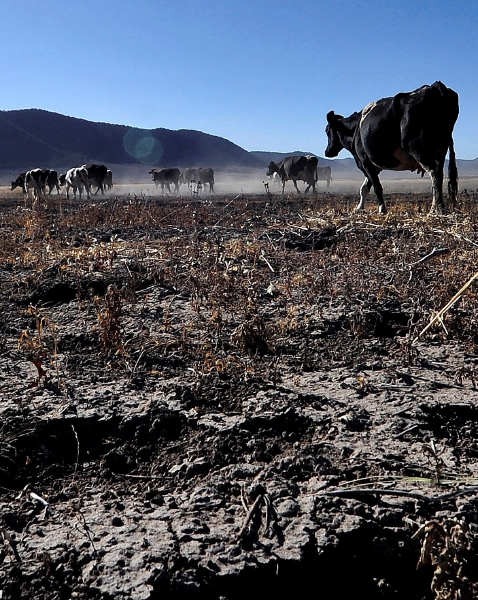 Fabricantes de agroquímicos de México advirtieron sobre la sequía en el país