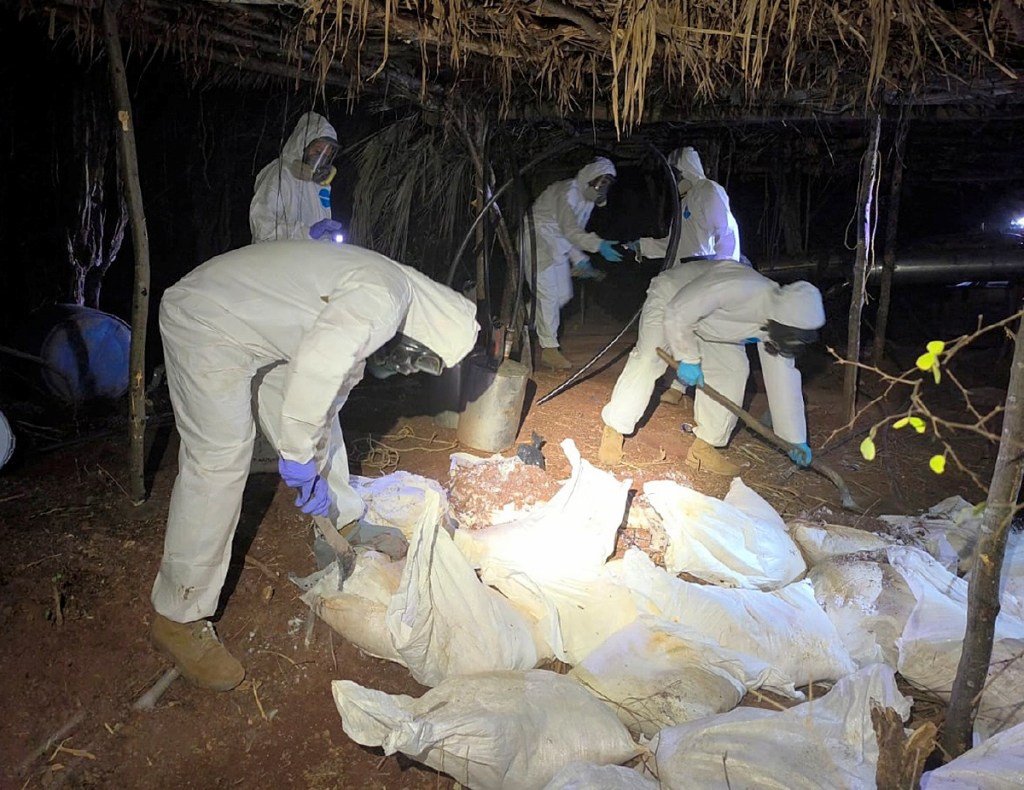 Integrantes de la Marina durante un decomiso de un laboratorio clandestino de drogas sintéticas en Sinaloa