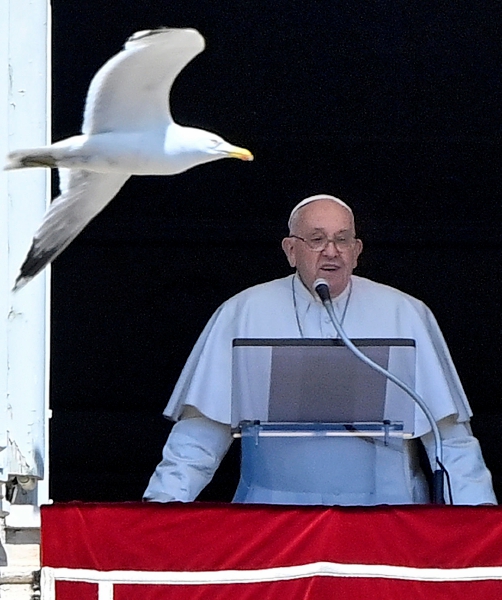 El papa Francisco dirige la oración del Regina Coeli