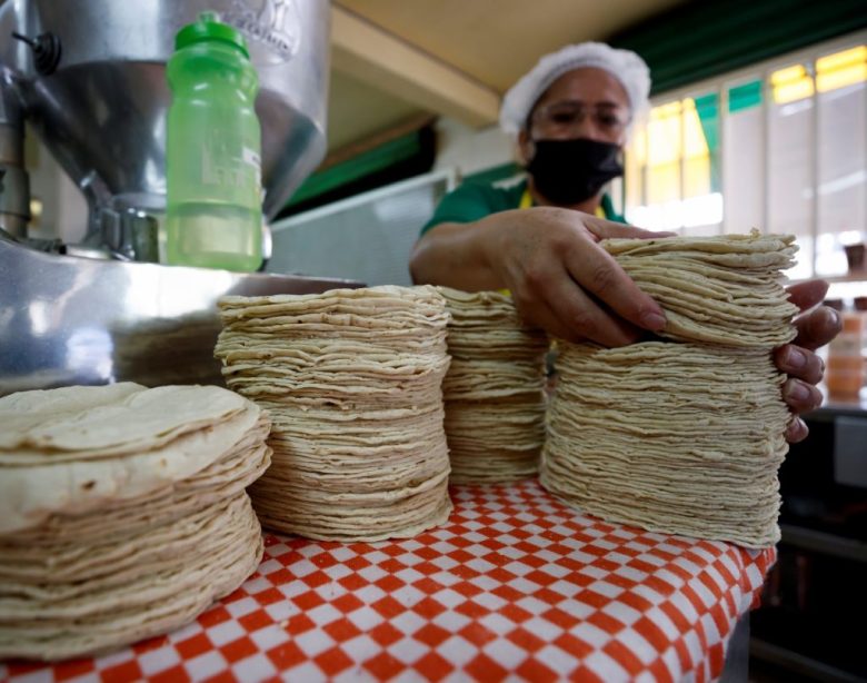 El Consejo Nacional de la Tortilla (CNT) señaló que el precio promedio del kilo de tortilla es de 31 pesos