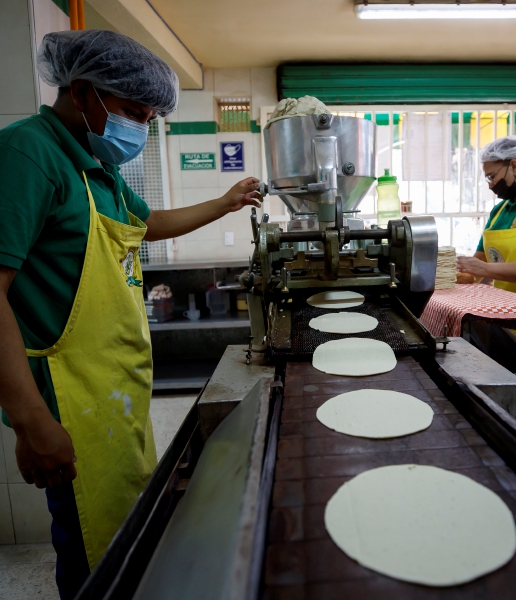 Productores de tortilla señalan que los efectos de la inflación y el pago de derecho de piso han afectado al precio de alimento