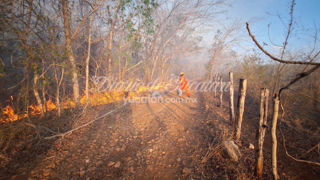 En una semana, aumentan de 141 a 205 los incendios forestales activos en México ante ola de calor y sequía