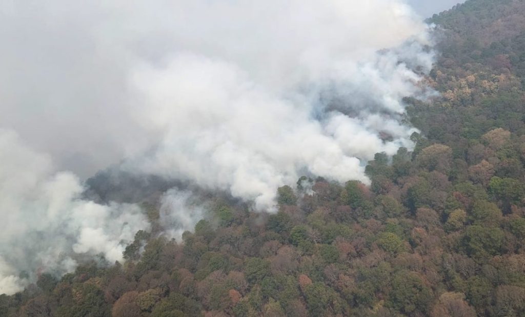 Suman 141 incendios forestales activos en 24 estados en plena onda de calor en México; 23 se registran en áreas naturales protegidas