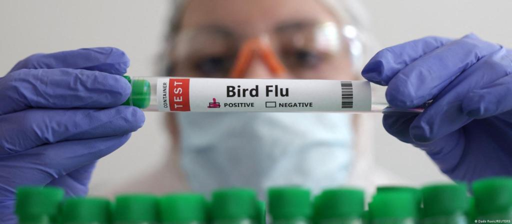 Primera muerte por gripe aviar H5N2 en el mundo ocurrió en México, pero el Gobierno Federal difiere de la declaración de la OMS.