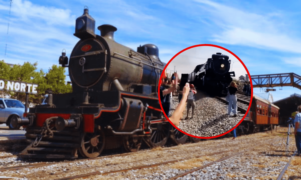 Otra mujer casi muere arrollada por tren La Emperatriz, quería una selfie, ¡su celular voló!
