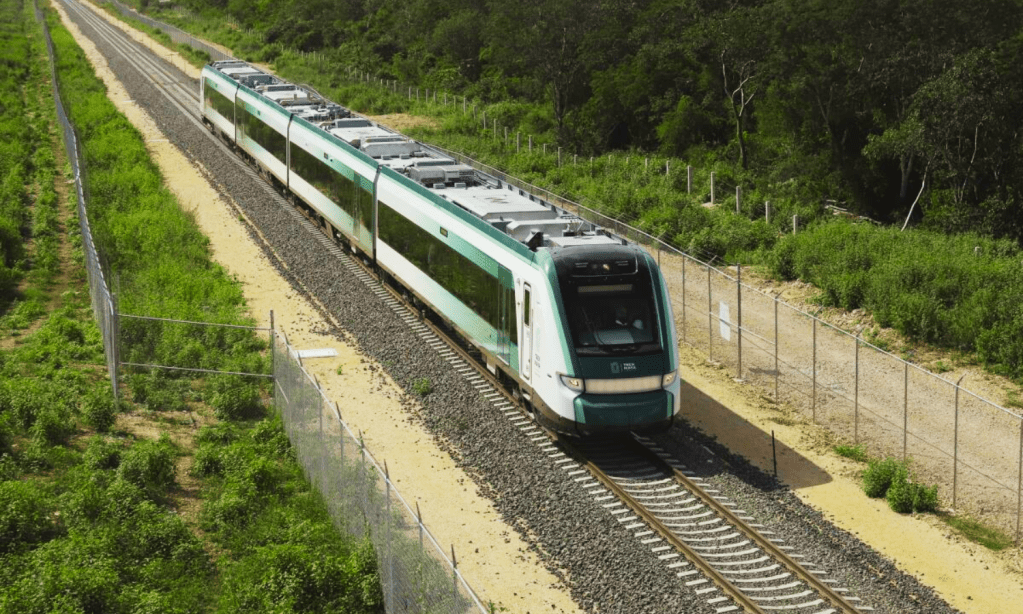 Otra suspensión al Tren Maya en Tramo 5 Sur de Playa del Carmen a Tulum