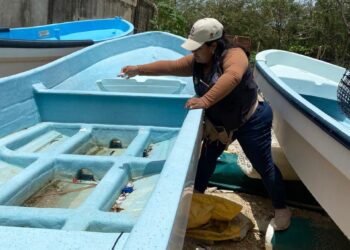 Limpieza y prevención en Puerto Aventuras tras el huracán «Beryl»