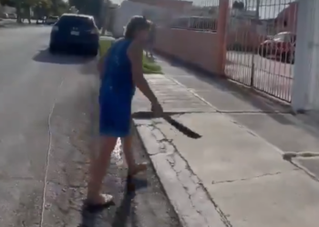 VIDEO:  Mujer Amenaza con Machete a Pareja que Paseaba a su Perro en la SM 51