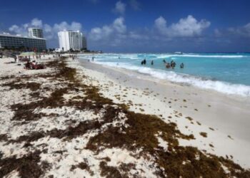 Ayuntamiento de Cancún participa en importante foro de atención al sargazo