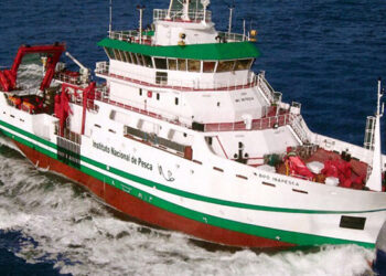 Buque de Investigación en Cancún: Innovación en la Gestión y Explotación del Sargazo en el Caribe Mexicano