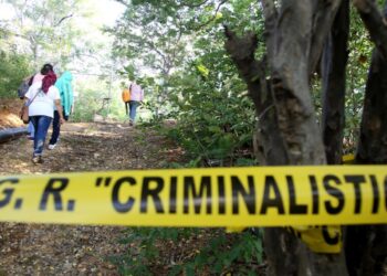 Madres Buscadoras de Isla Mujeres encuentran a cinco personas con vida en medio de la adversidad