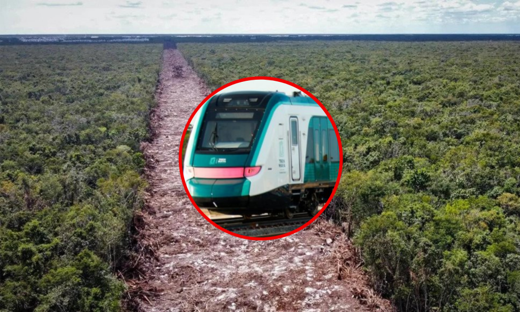 Gobierno de AMLO en desacato: Tribunal de Yucatán ordena parar obra del Tren Maya en tramo 7