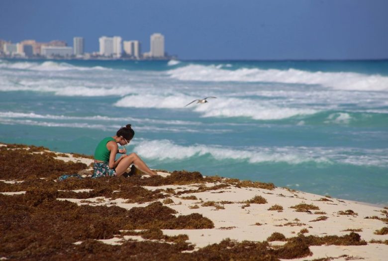 Debajo, turista en una playa invadida por sargazo, el 13 de febrero de 2023, en Playa del Carmen, cuando científicos advirtieron que la llegada del sargazo se había adelantado unos tres meses