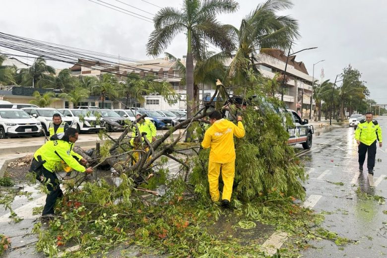 Aspecto de los daños que dejó el huracán Beryl en Tulum (Foto de EFE)