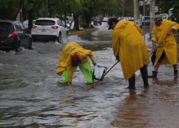 Atienden Servicios Públicos de Cancún Afectaciones por Lluvias