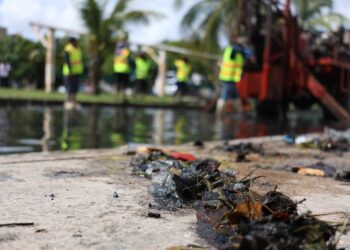 Supervisan trabajos de limpieza y mantenimiento en distintas zonas de Cancún para mejorar el bienestar comunitario