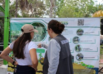 Benito Juárez Ganador del Premio Nacional al Buen Gobierno Municipal 2024 por «Cenotes Urbanos»