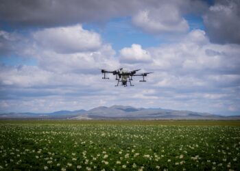Digitalización del Campo Mexicano: La Ruta para un Futuro Sustentable