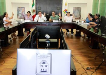 Diputados de Quintana Roo presentan iniciativas sobre paternidad, diversidad sexual y bienestar animal