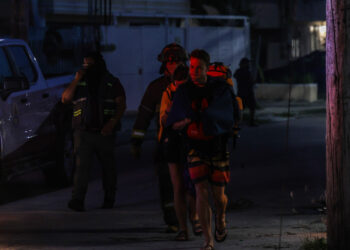 Enjambre de Abejas Africanizadas Ataca a Vecinos en Cancún; Adulto Mayor en Estado Grave