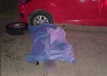 Guadalupe Carrillo Fuentes, hermano de ‘El Señor de los Cielos’, muere atropellado en Navolato, Sinaloa