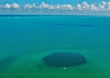 Quintana Roo Implementa Plan Integral para Regular el Turismo en el Agujero Azul de la Bahía de Chetumal