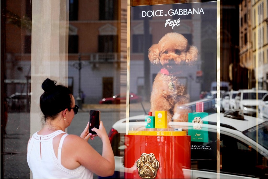 Una mujer observa en una tienda de Roma la promoción del nuevo perfume para perros de Dolce & Gabbana llamado "Fefé" (Foto de AP)