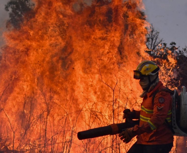 Un brigadista del Instituto Brasilia Ambiental (Ibram) trabaja en la extinción de un incendio forestal en el Parque Ecológico Burle Marx, ayer en Brasilia. A la derecha, un pájaro se posa sobre juncos quemados durante los incendios forestales de Ribeirao Prito, en el estado de Sao Paulo