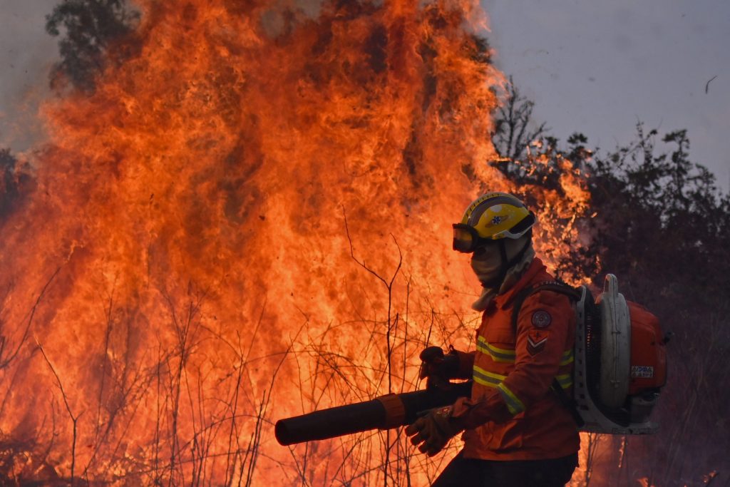 “Emergencia ambiental” en selva amazónica por incendios récord