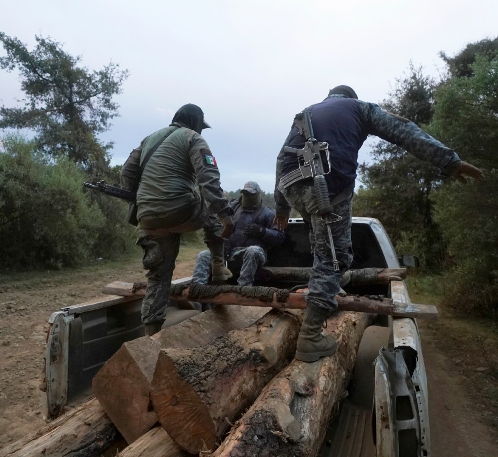 Guardabosques comunitarios caminan sobre troncos de pino incautados que encontraron escondidos a un costado de un camino mientras patrullaban a las afueras de la localidad indígena de Cherán, Michoacán, estado asediado por cárteles de la droga y otros grupos criminales