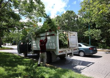 ¿Está tu hogar listo? Acciones críticas ante el ciclón tropical que se aproxima a Cancún