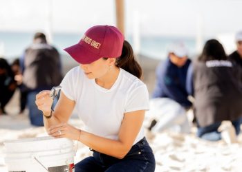 Descubre cómo Cancún está salvando a miles de tortugas marinas este 2024