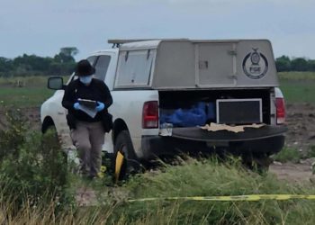 Alertan de alto precio de seguros de auto por narcoviolencia como en Sinaloa