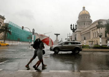 El oropouche se propaga en Cuba