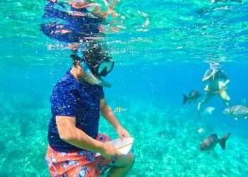 “Jóvenes por la Conservación” participan en el programa de Monitoreo de Peces Arrecifales de la Fundación de Parques y Museos