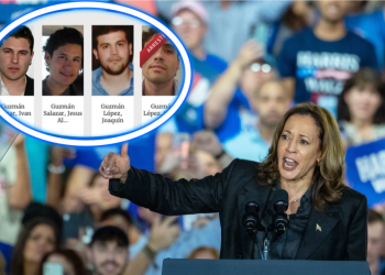 Kamala Harris va contra cárteles trasnacionales: mensaje al Cártel de Sinaloa