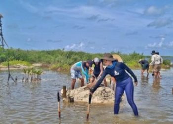 La Fundación de Parques y Museos concluyó con éxito curso de capacitación para guías y prestadores de servicios turísticos